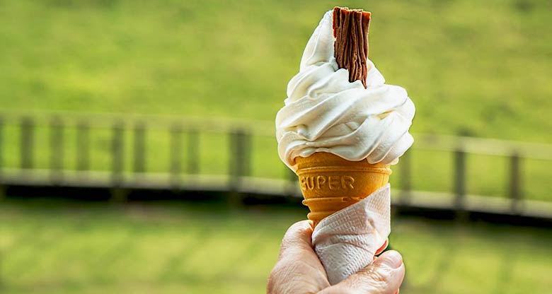 Crazy shop ice cream