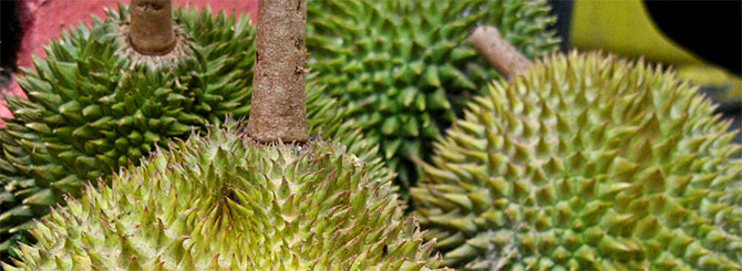 Durian
