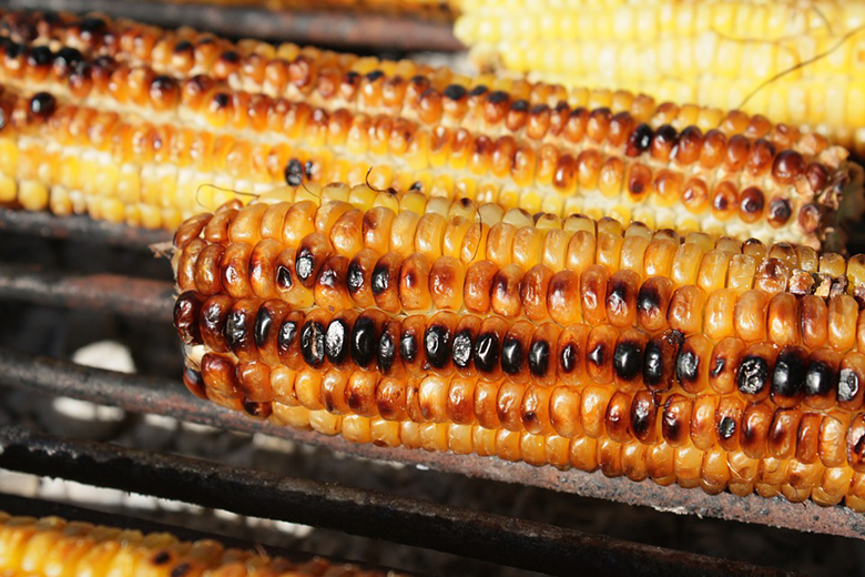 Grilled corn