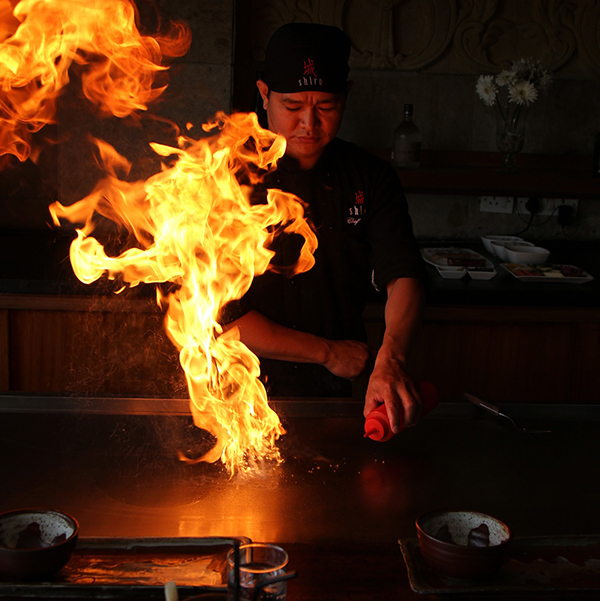 Teppanyaki Yakitori Grill Cooking