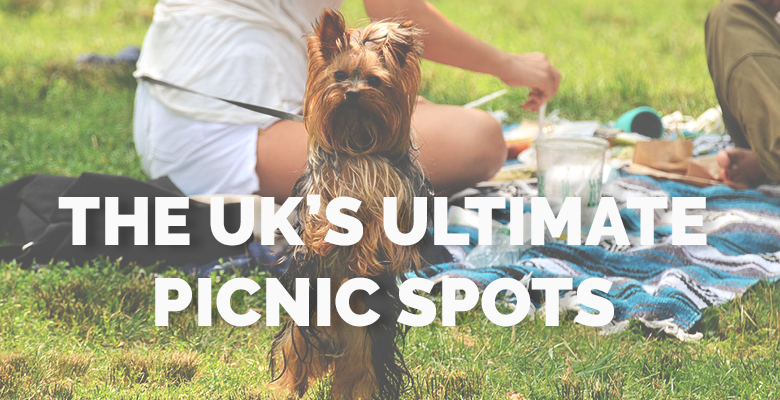 The UK's Ultimate picnic spots