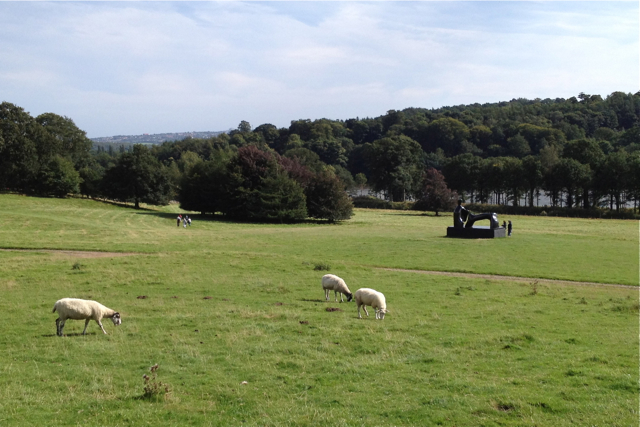 Image courtesy of Robin Stott