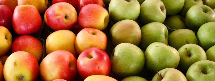 apples apples