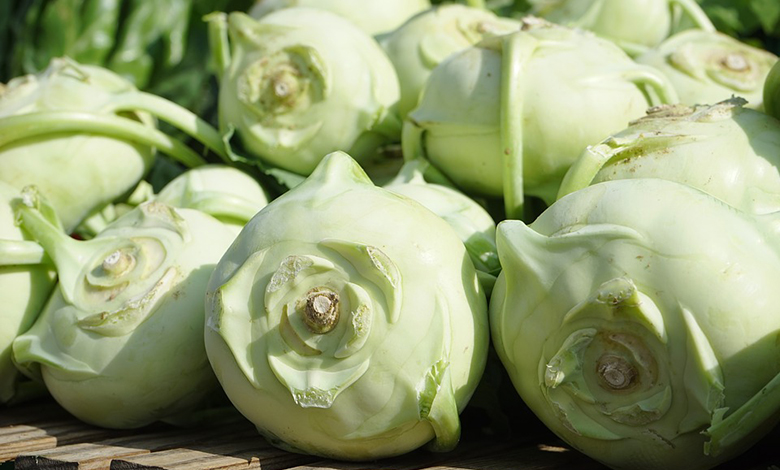 kohlrabi small