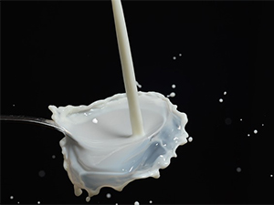 Milk