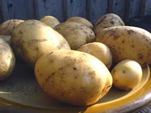 Potatoes