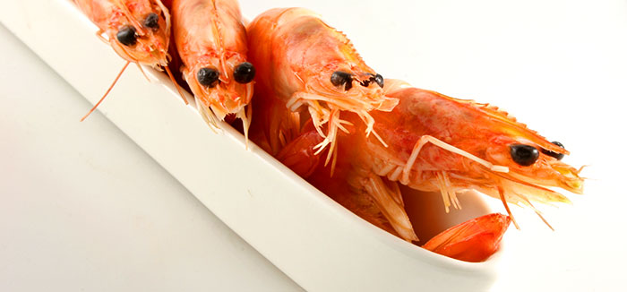 prawns