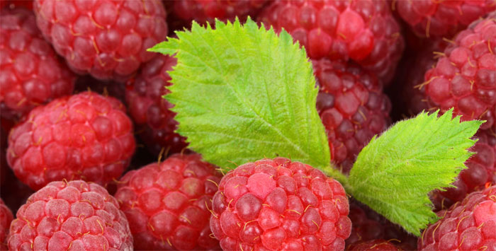 raspberry