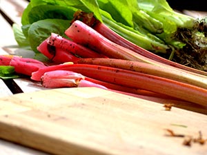 Rhubarb Rhubarb