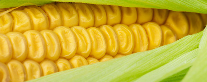 sweetcorn
