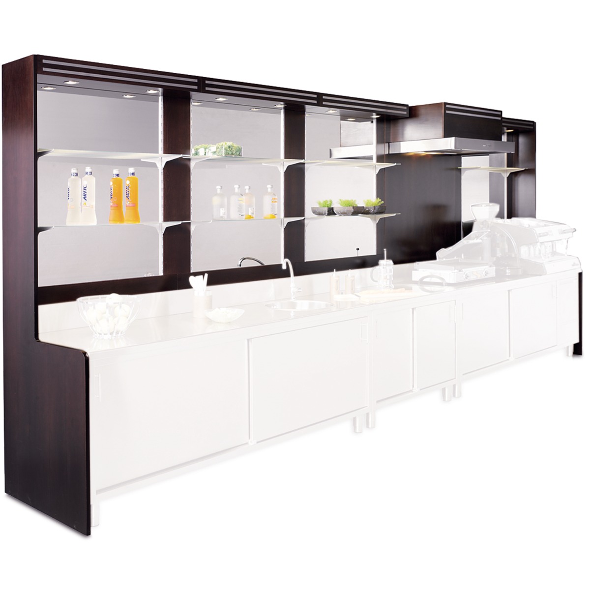 Back Bar Shelving and Dispaly