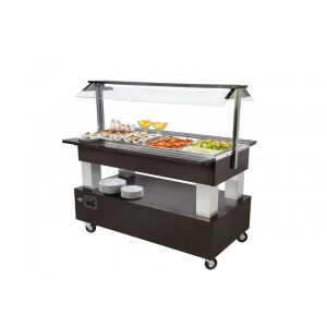 Refrigerated Buffet Display and Salad Bars